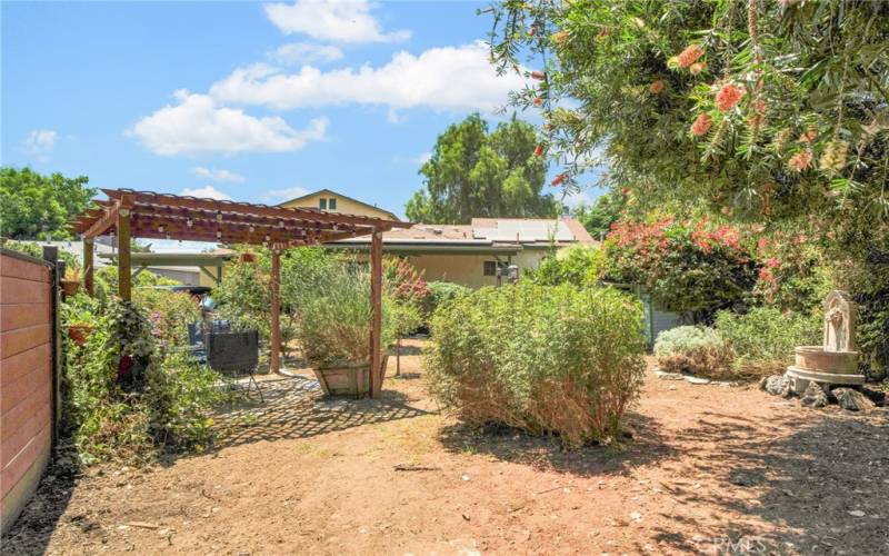 Pergola for outside dining