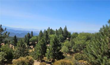 73 Panorama Road, Running Springs, California 92382, ,Land,Buy,73 Panorama Road,EV24176836