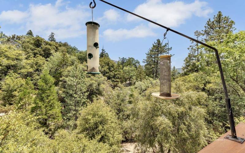 32 Great place to watch the birds & wild