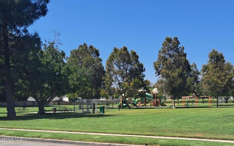 Park Play Equipment