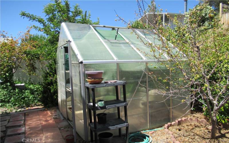 Greenhouse.