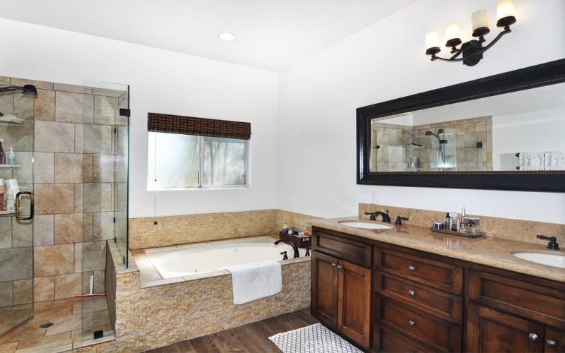 Primary bathroom with shower and soaking tub