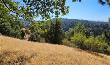 0 Edelweiss Drive, Crestline, California 92325, ,Land,Buy,0 Edelweiss Drive,HD24177483