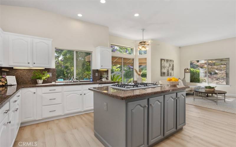 Kitchen open to Family Room