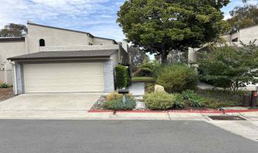 8867 Caminito Primavera, La Jolla, California 92037, 3 Bedrooms Bedrooms, ,2 BathroomsBathrooms,Residential Lease,Rent,8867 Caminito Primavera,240020259SD