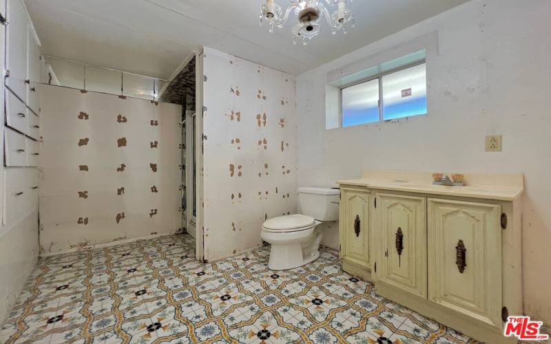 Basement Bathroo