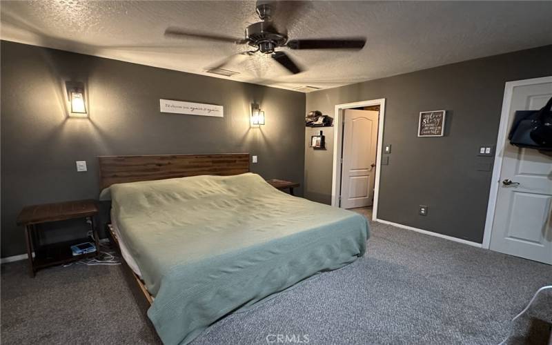 Primary bedroom with walk in closet