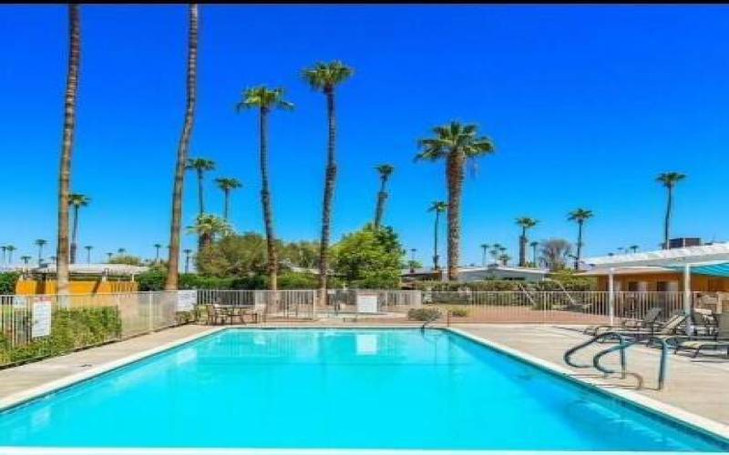 Portola Palms Pool