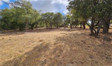 9599 Timberline Court, Kelseyville, California 95451, ,Land,Buy,9599 Timberline Court,LC24178368