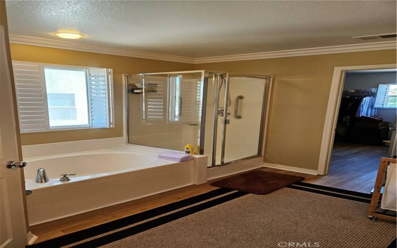 Primary bath tub shower