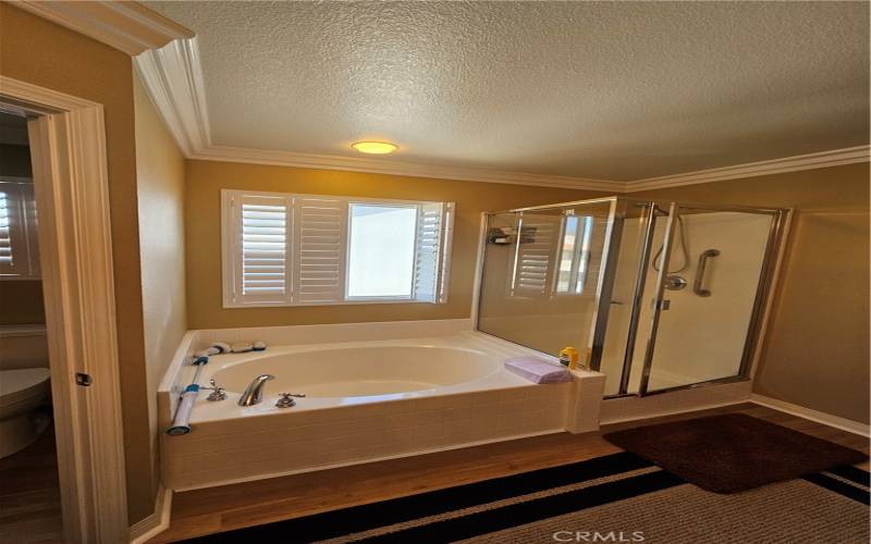 Primary bath tub shower