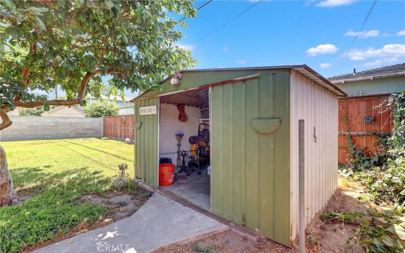 Shed in backyard