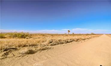 0 Rancho Road, Adelanto, California 92301, ,Land,Buy,0 Rancho Road,CV24163423