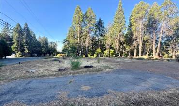 14105 Creston Road, Magalia, California 95954, ,Land,Buy,14105 Creston Road,SN24176667