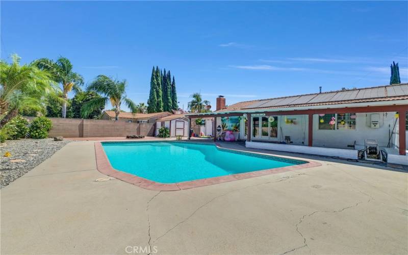 Backyard pool