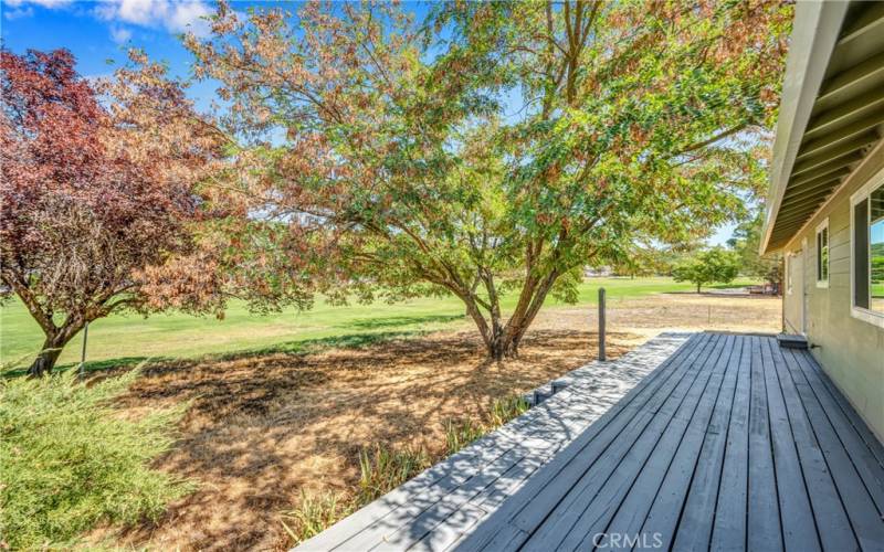 Large back deck with beautiful trees