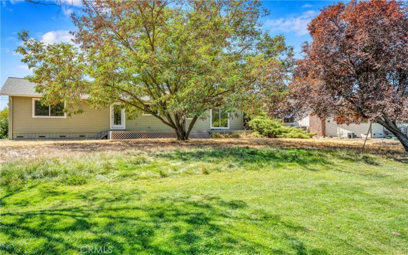 Enjoy the mature trees providing shade & privacy