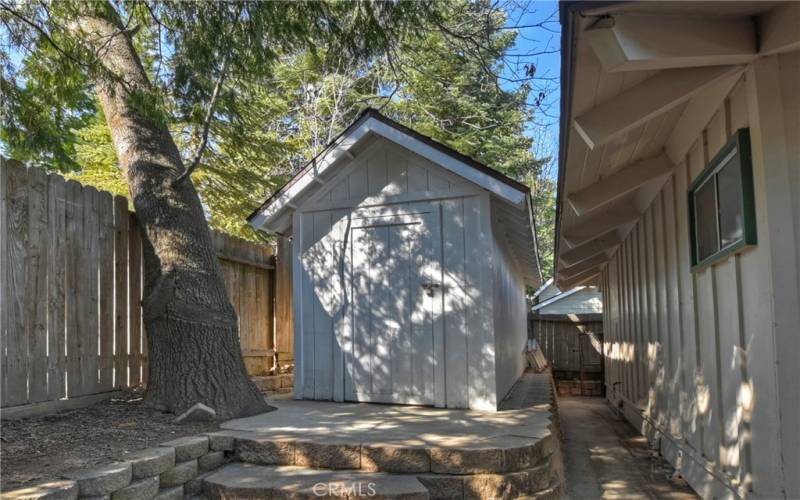 Shed in the backyard