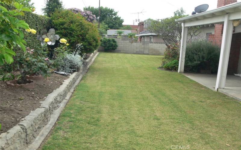 lush yard and lawn