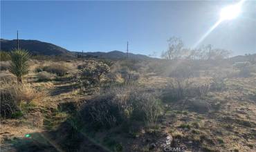 60300 Alta Mesa Drive, Joshua Tree, California 92252, ,Land,Buy,60300 Alta Mesa Drive,JT24035532