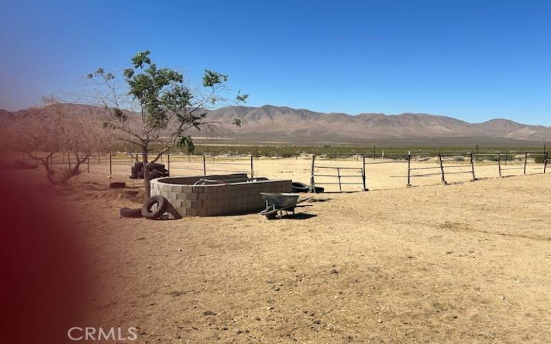 Bath Area and Corral for Livestock.  Sorry for the finger in the way.