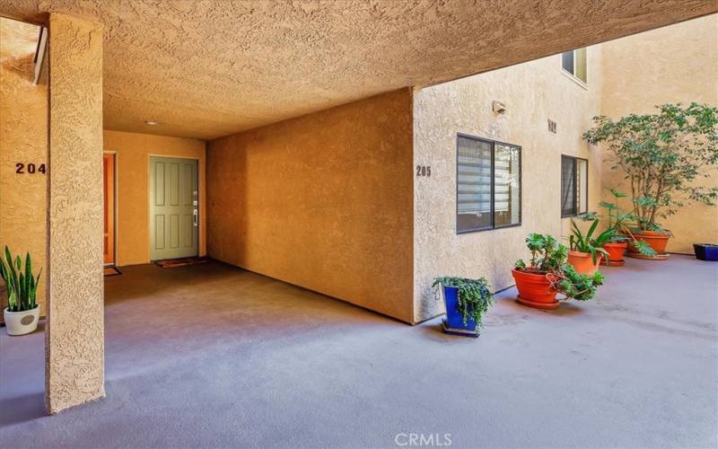 In courtyard looking towards #205 front door