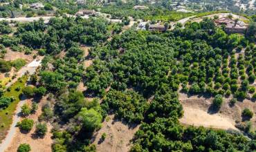 0 Wilt Road, Fallbrook, California 92028, ,Land,Buy,0 Wilt Road,PTP2405212