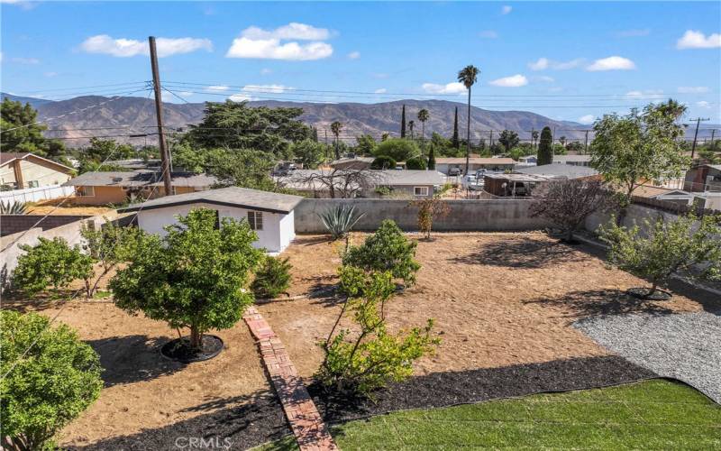 overview of the Backyard.