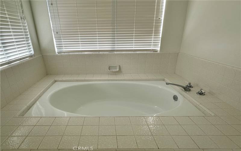 Oversized bathtub in master bathroom