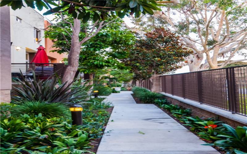 Flower-filled walking paths