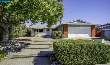 342 Lakeside Ct, Martinez, California 94553, 3 Bedrooms Bedrooms, ,1 BathroomBathrooms,Residential,Buy,342 Lakeside Ct,41071342