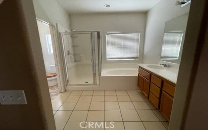 Master bathroom in 14615 Tucson St, Victorville CA 92394