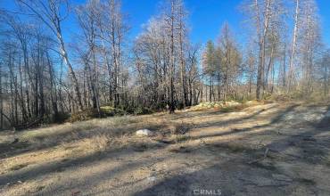 2629 Bald Rock Road, Berry Creek, California 95916, ,Land,Buy,2629 Bald Rock Road,SN23222416