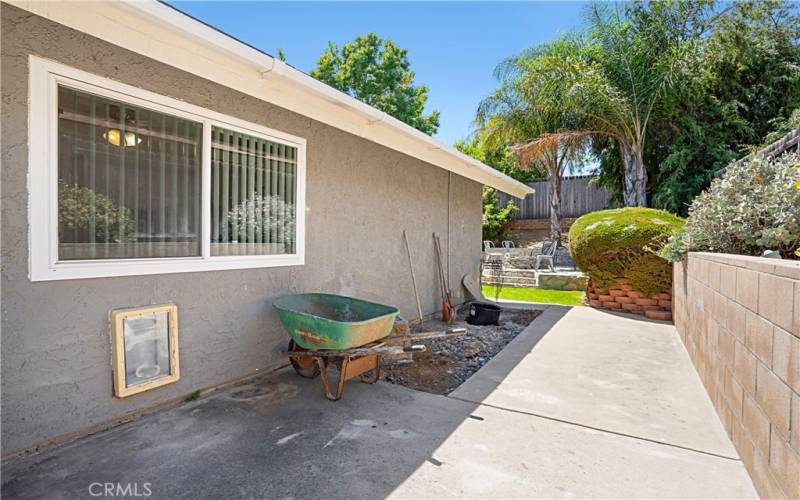 Right side yard when facing front of house