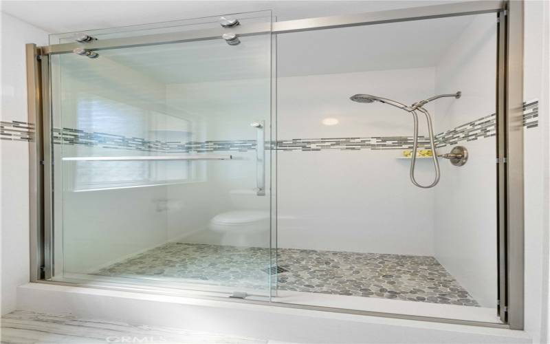 Remodeled Contemporary Primary Walk-in Shower