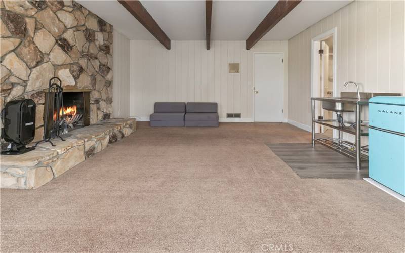 Lower Level Bonus Room with Fireplace and Kitchenette