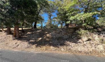 24766 Basel Drive, Crestline, California 92325, ,Land,Buy,24766 Basel Drive,EV24179963