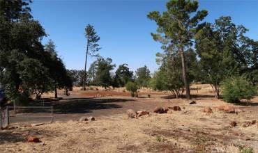 4035 Neal Road, Paradise, California 95969, ,Land,Buy,4035 Neal Road,SN24177059