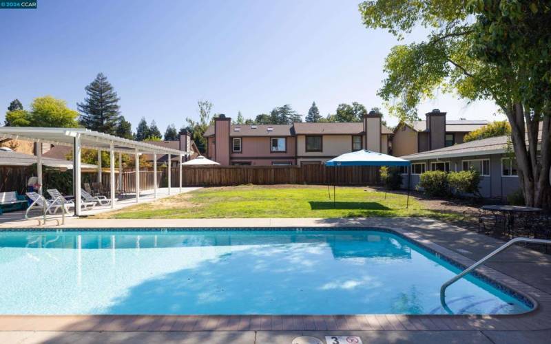 Pool and Lounge Area