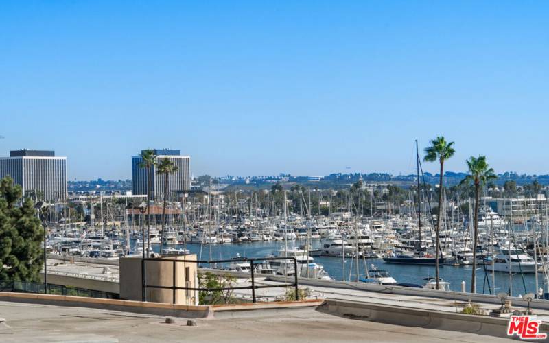 Marina Harbor views