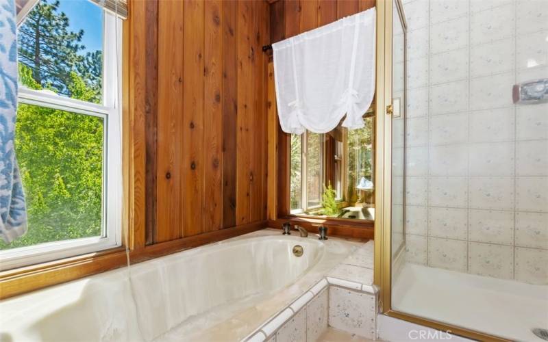 PRIMARY BATHROOM WITH SUNKEN TUB WITH PRIVACY GLASS THAT LOOKS OUT TO THE ATRIUM