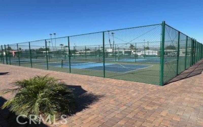 VIEW OF OUTDOOR COURTS.