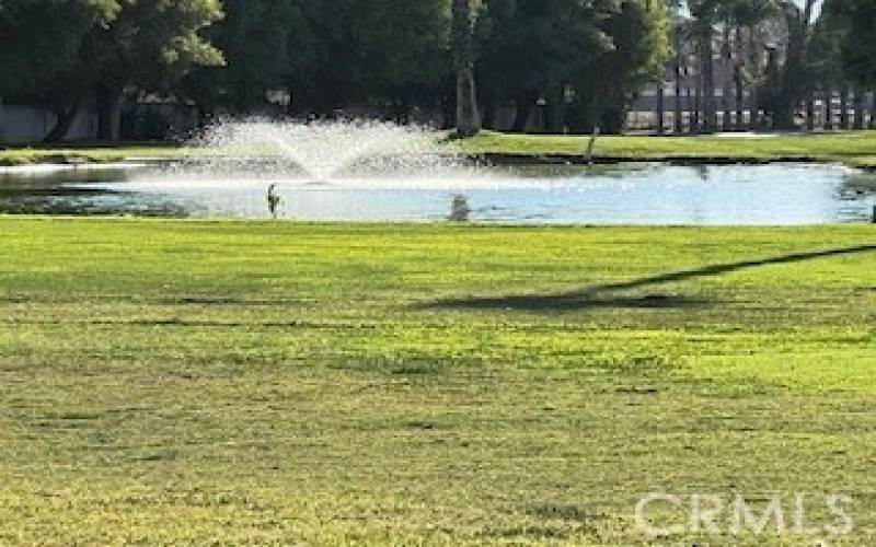 A LAKE AT THE SOUTH END.