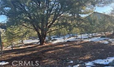 1604 Linden Drive, Pine Mountain Club, California 93222, ,Land,Buy,1604 Linden Drive,SR24180523