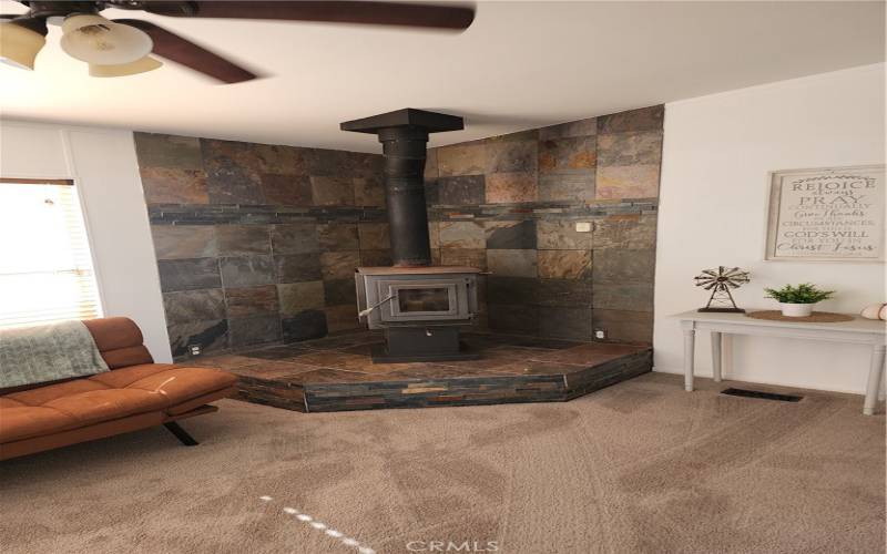 Wood Burning Fireplace