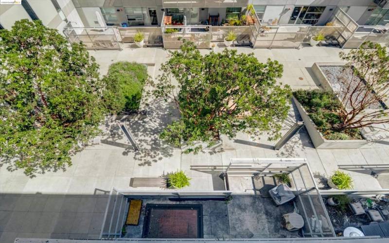 Balcony overlooks leafy courtyard