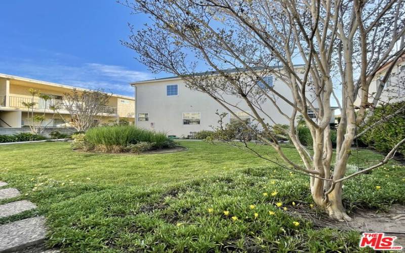 Beautifully landscaped back yard