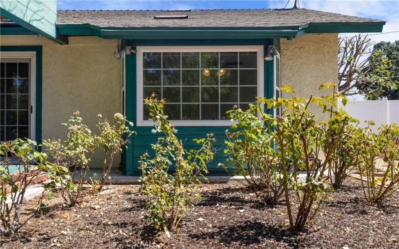 Front Yard Landscaping with Window View