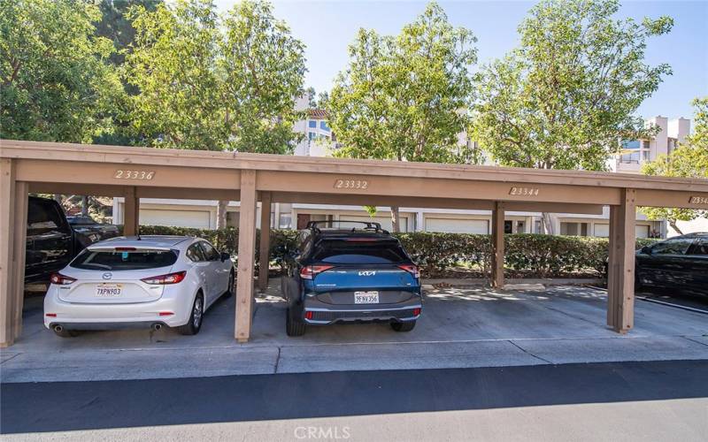 Assigned carport space.