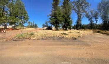 6377 Simonson Court, Magalia, California 95954, ,Land,Buy,6377 Simonson Court,SN24181087